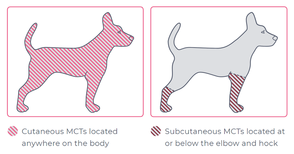 Frequently asked questions (FAQs) STELFONTA injection