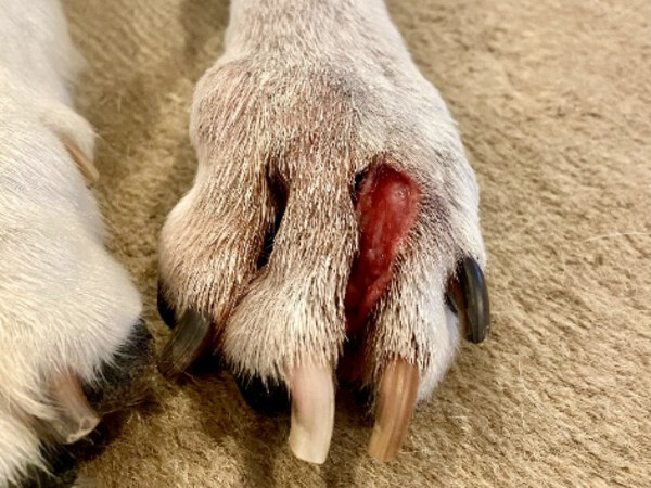 STELFONTA treatment - Day 9